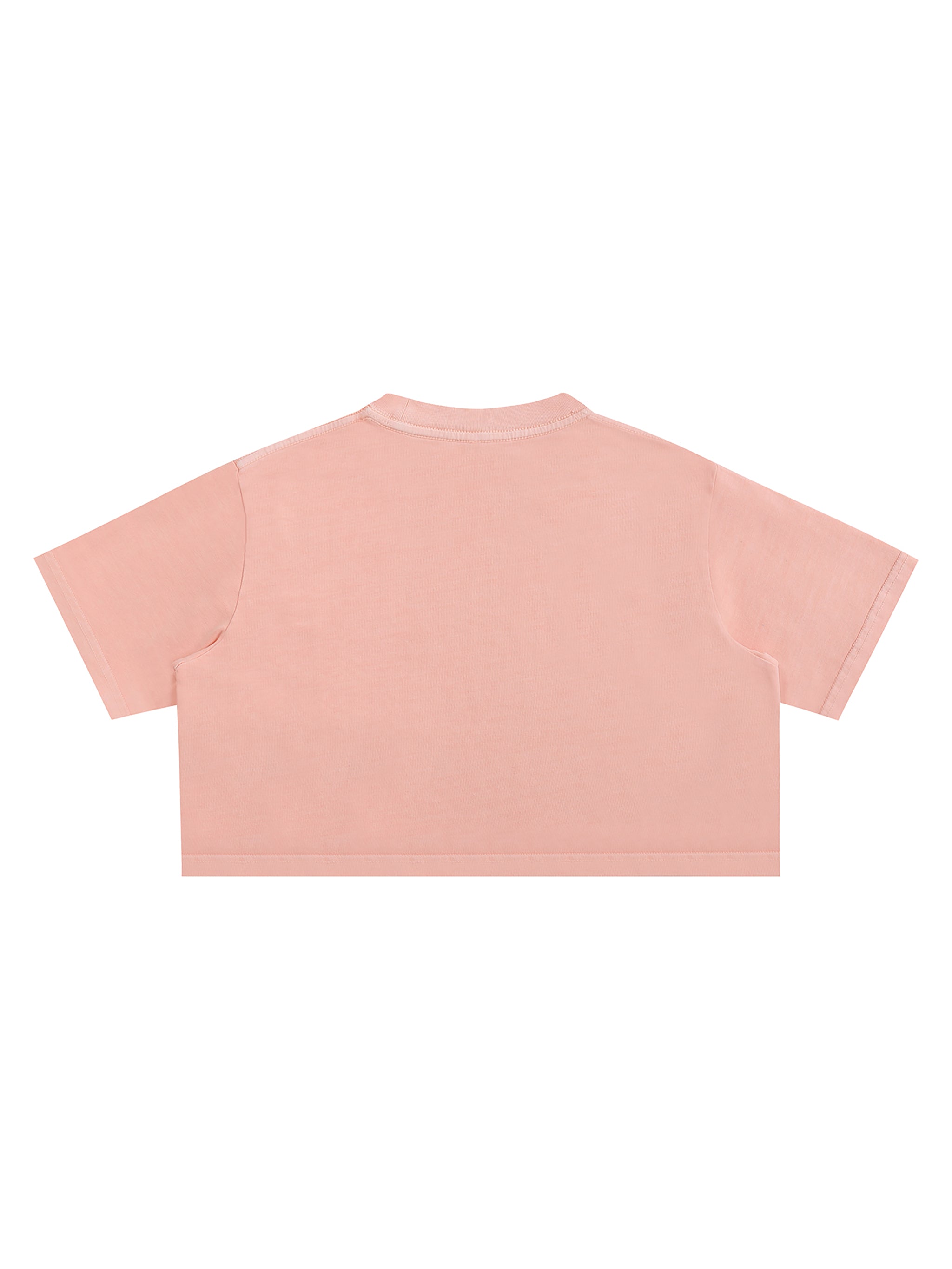 Snow Washed Crop Top